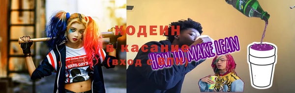 дмт Заводоуковск